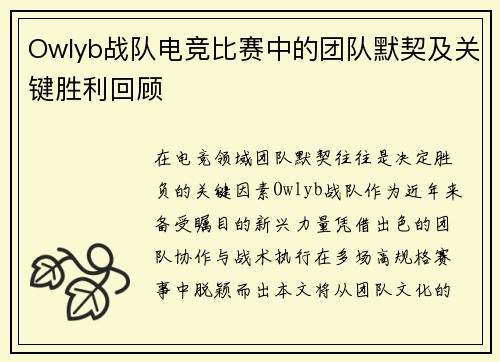 Owlyb战队电竞比赛中的团队默契及关键胜利回顾