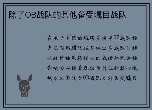 除了OB战队的其他备受瞩目战队